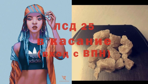 сатива Володарск