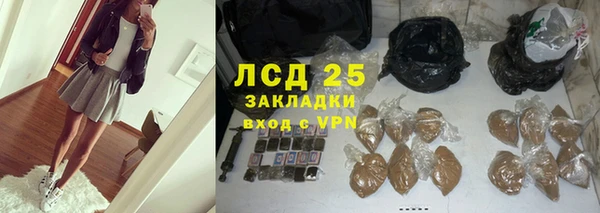 сатива Володарск