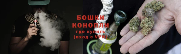 сатива Володарск