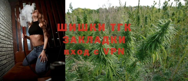 сатива Володарск