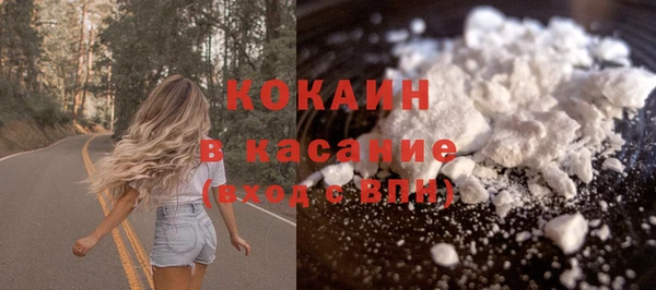 сатива Володарск